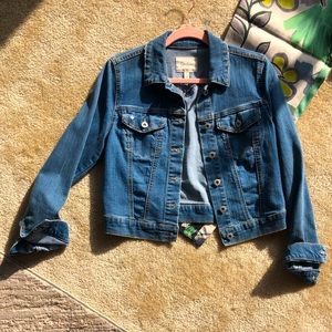 Cute & Sexy Crop Denim Jacket